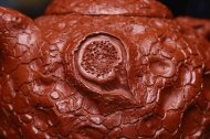 《灵芝供春》经典紫砂壶供春宜兴全手工工艺美术师泡茶壶茶具大红袍