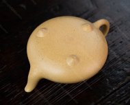 汉棠石瓢