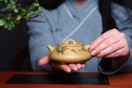 《石瓢》石瓢宜兴紫砂壶纯手工工艺美术师茶壶稀有本山绿泥