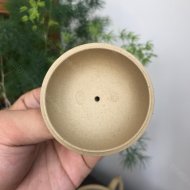 秦权壶