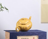 筋纹海棠