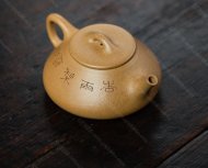 平盖石瓢