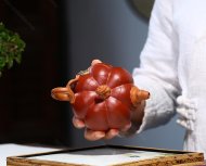 轻胚南瓜壶