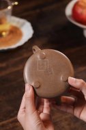 《石瓢》宜兴紫砂壶实力派名家原矿石瓢紫砂茶具青段壶