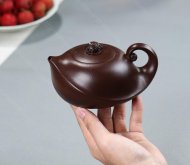 玉龟遐寿
