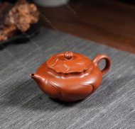 风卷葵