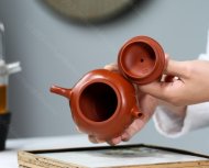 荷花壶