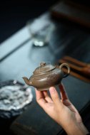 《扁樱》