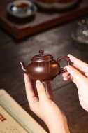 《梵莲笑樱》