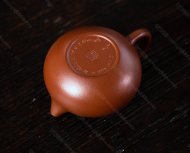 文旦