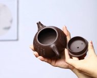 龙瓢