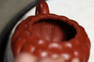 《菱韵花香》宜兴紫砂壶手工工艺美术师大红袍壶茶壶菱花茶具