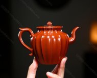 《筋纹菱花》