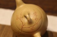 《梅花秦权》宜兴紫砂壶助理工艺美术师纯手工本山段茶壶全手工秦权紫砂壶