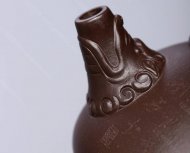 龙瓢