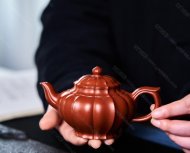 菱花笑樱