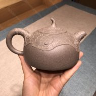 树瘿半月