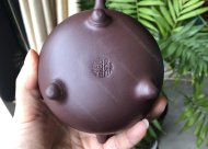 竹韵飘香；紫泥350CC