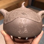 树瘿半月