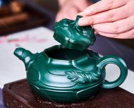 风卷葵