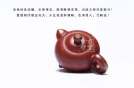 《道韵西施》