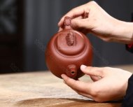 《灵龙纳福》