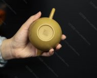 巨轮珠