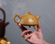 龙吟天下