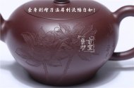 《荷韵芬芳》