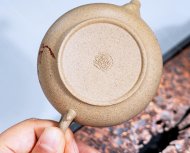 玉兰花开