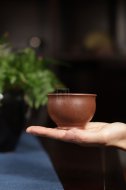《蜗居杯》