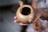 《多子多福》
