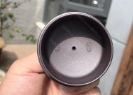 笑樱套组