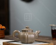 《筋纹疾风》