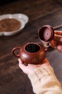 《印花扁西施》宜兴紫砂壶实力派名家纯手工礼品茶具红皮龙西施茶壶