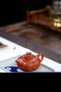 《小鱼化龙》