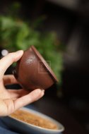 《蜗居杯》