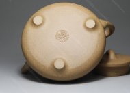 石瓢壶