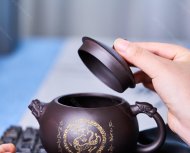 金龙西施