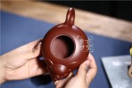 《福猪》