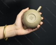 巨轮珠