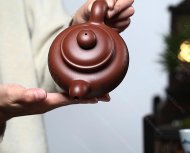 道洪掇只