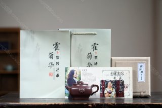 龙骧虎视