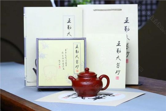 《风华正茂》