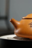 《牛盖石瓢》