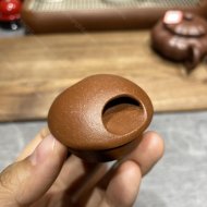 牛盖乳瓢