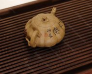 南瓜
