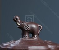 《万象更新》