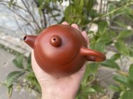 龙蛋