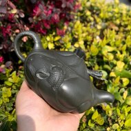 鱼化龙